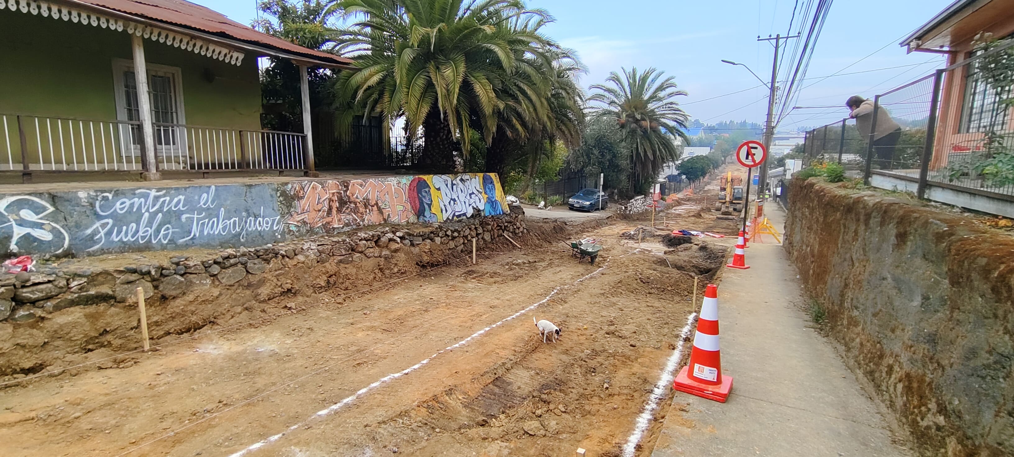 Imagen del proyecto