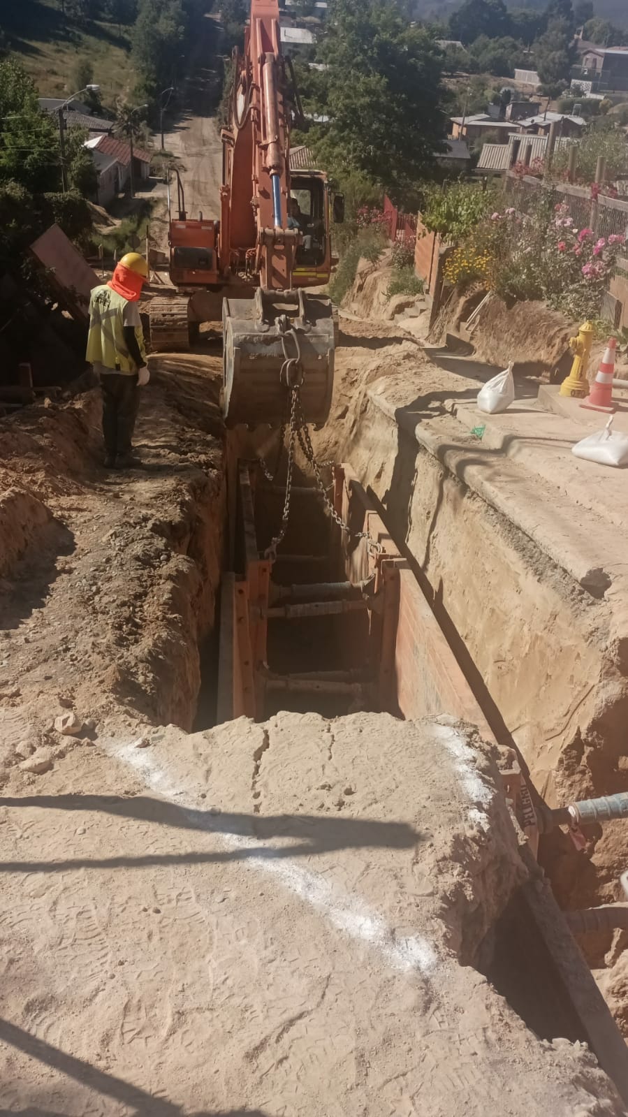 Imagen del proyecto